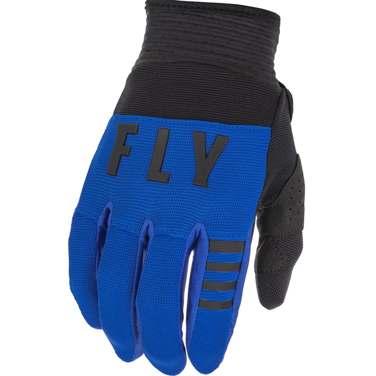 Fly Racing 2022 F-16 Blue/Black Gloves