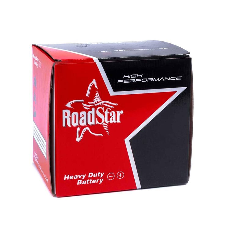 Roadstar 12N24-3 / T3 (24Ah) Battery