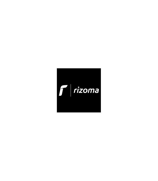 Rizoma Wiring for BMW R Nine T