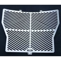 R&G BMW S1000R Stainless Steel Radiator Guard