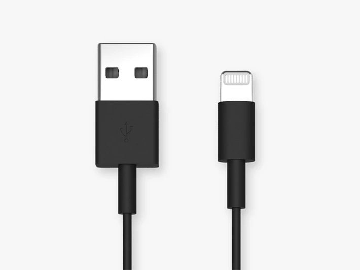 Quad Lock 20cm USB-A to Lightning Cable Charger