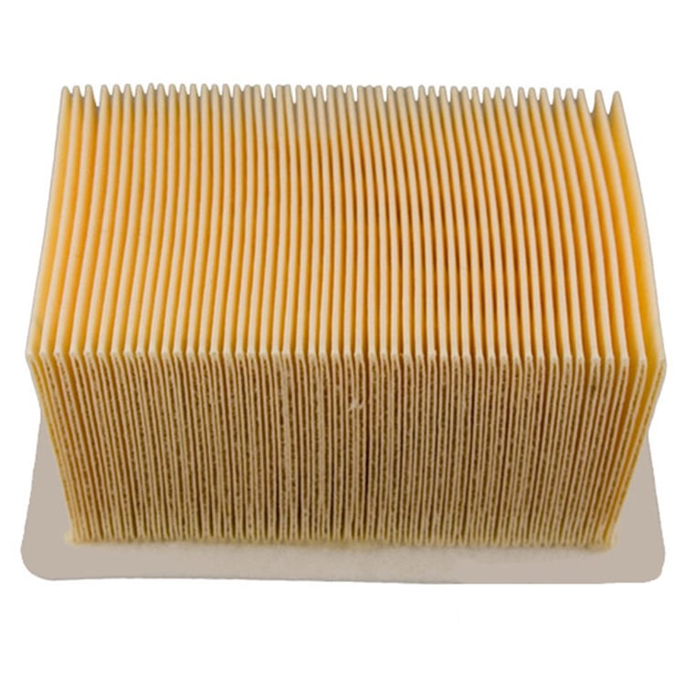 Champion BMW CAF6911 Air Filter