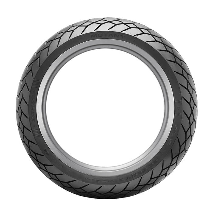 Dunlop Mutant 190/55ZR17 M+S Rear Tyre