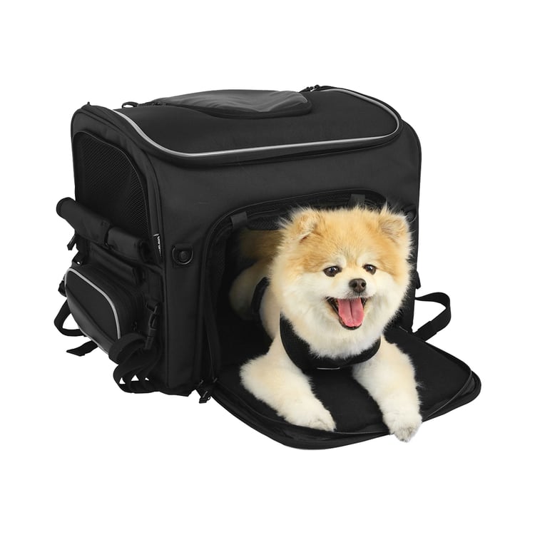 Nelson-Rigg NR-240 Rover Pet Carrier