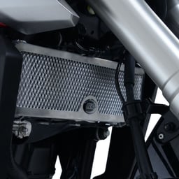 R&G Honda CB125R Titanium Radiator Guard